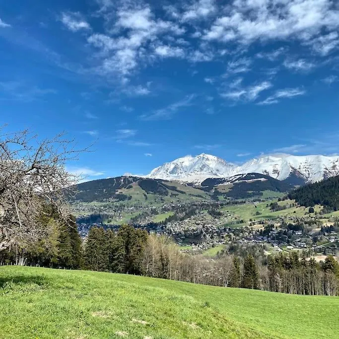 T2 De Charme A Megeve Vue Panoramique Apartment France